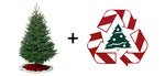 8 Foot Christmas Tree