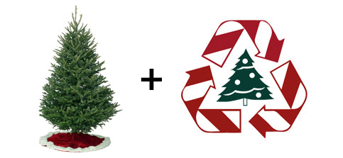 8 Foot Christmas Tree