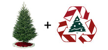 Load image into Gallery viewer, 5 Foot Christmas Tree

