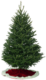 5 Foot Christmas Tree